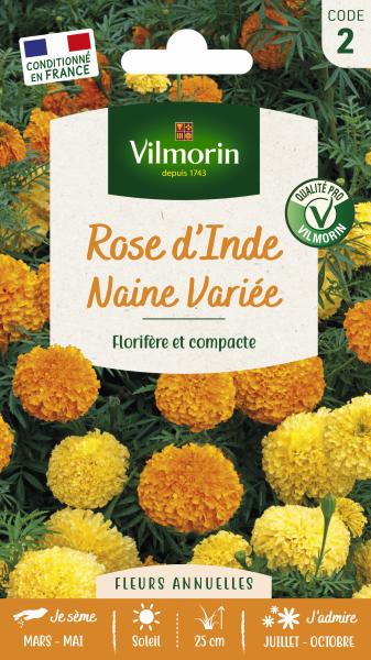 Fleurs - Rose d'Inde Naine Variée - PACKAGING_RECTO